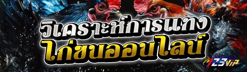 วิเคราะห์การแทงไก่ชนออนไลน์ 